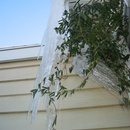 Fri Feb 8 2008