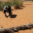 Playing in the sand