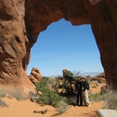 Pine Cone Arch