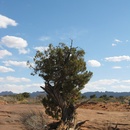 Thu Apr 3 2008