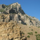 Thu Jul 3 2008