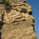 Thu Jul 3 2008