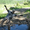 Fri Jul 25 2008