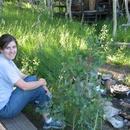 Fri Jul 25 2008