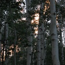 Fri Jul 25 2008