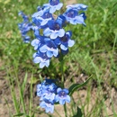 Sat Jul 26 2008