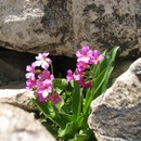 Tue Jul 29 2008