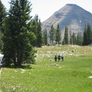 Tue Jul 29 2008
