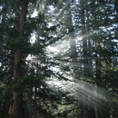 Thu Jul 31 2008
