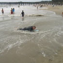 Dad gets washed ashore