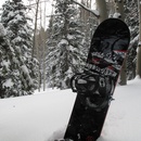 Fri Jan 9 2009