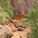 Tue May 26 2009