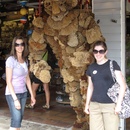 The Sponge Man in Key West