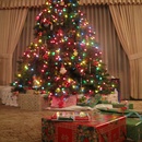 Mon Dec 22 2008
