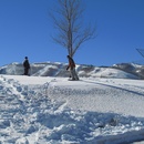 Wed Dec 31 2008
