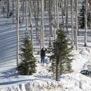 Tue Dec 30 2008