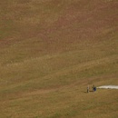 Fri May 29 2009