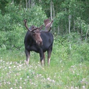 Sat Jul 11 2009