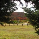 Fall 2009