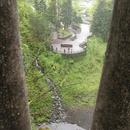 Mon Apr 26 2010