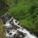Mon Apr 26 2010