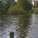 Thu Oct 21 2004