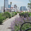 By Battery Park