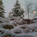 View from my desk