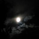 Summer moon