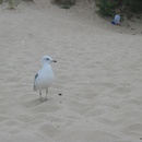 Fri Aug 19 2005