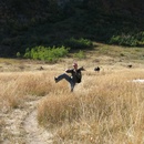 Jason dancing a jig on the trail