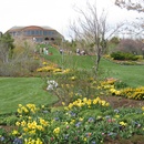 Fri Apr 21 2006