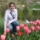 Kerry wants to plant this many tulips in our yard
