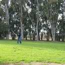 Golfing on Christmas Day
