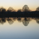 Potomac at twilight