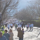 Rex Lee Run