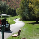 Deer ahead