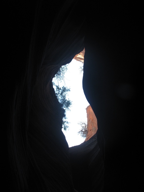 Skylight