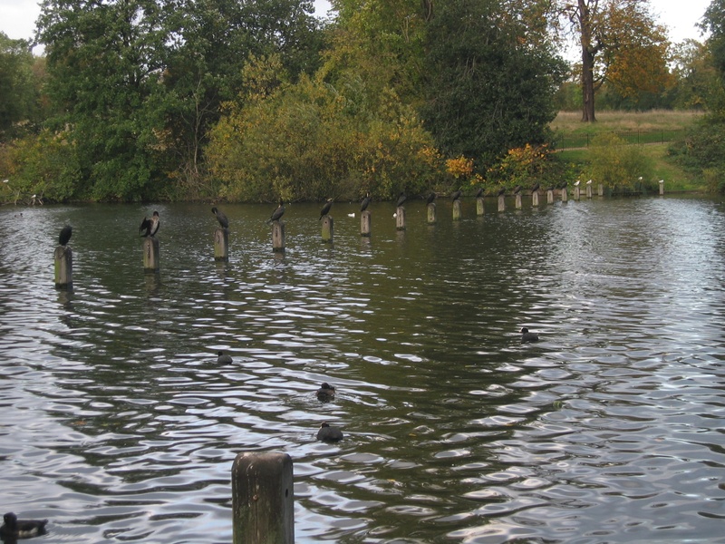 Thu Oct 21 2004