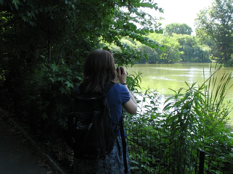 Central Park taking pictures